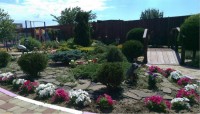 Темрюк гостевые дома у моря - цены - Лучшие отели 2019