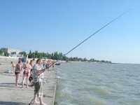 Приморско-Ахтарск  - Отель «MariSol»