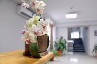 Сочи 2025 проживание в  частном секторе - недорого - Лучшие отели 2019