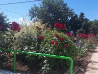 Темрюк найти номер в отеле - Лучшие базы отдыха