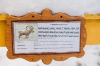 Колышлей 2025 лучшие санатории россии с бассейном - Санаторий «Хопровские Зори»