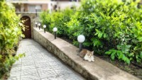 Алушта 2025  - Лучшие отели 2017