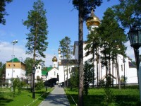  2025  - Культура