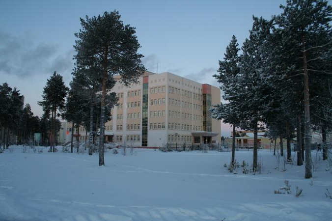 роддом город
