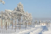  2025 актировка 25 декабря - Вопрос - ответ