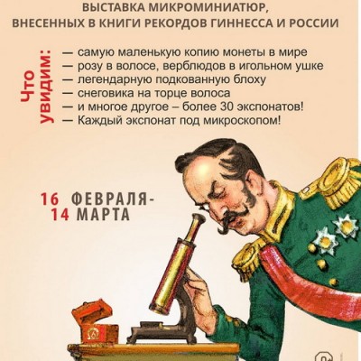 владимир анискин микроминиатюрист